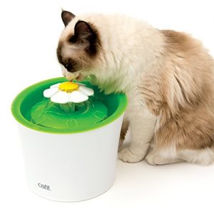 best interactive cat toys for water loving cats