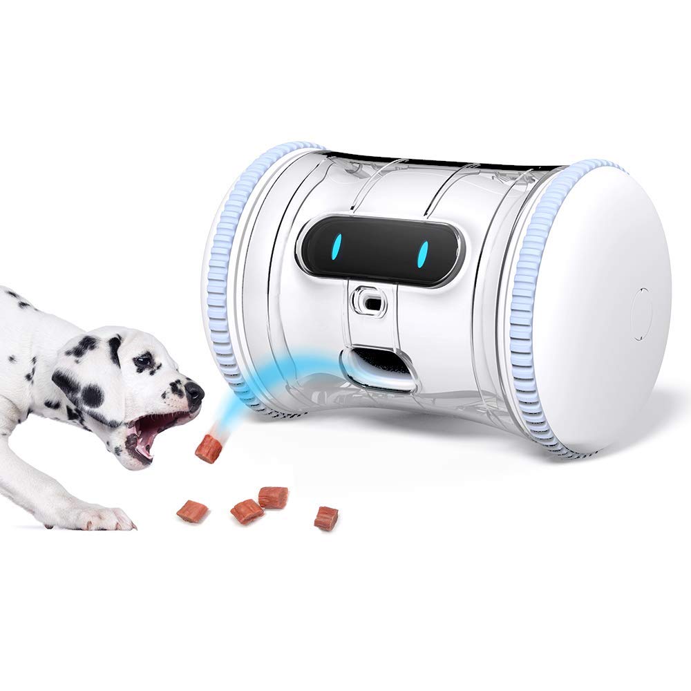 Best Interactive Dog Toys