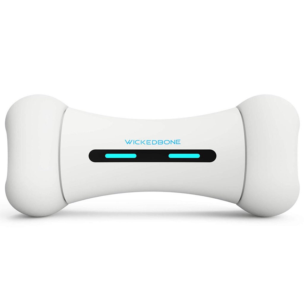 Best Interactive Dog Toys
