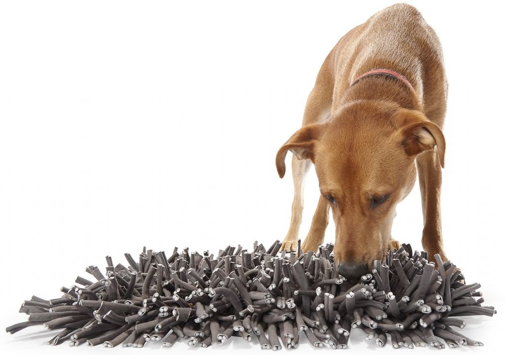 Best Interactive Dog Toys