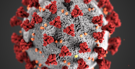 air purifier for bacteria and viruses