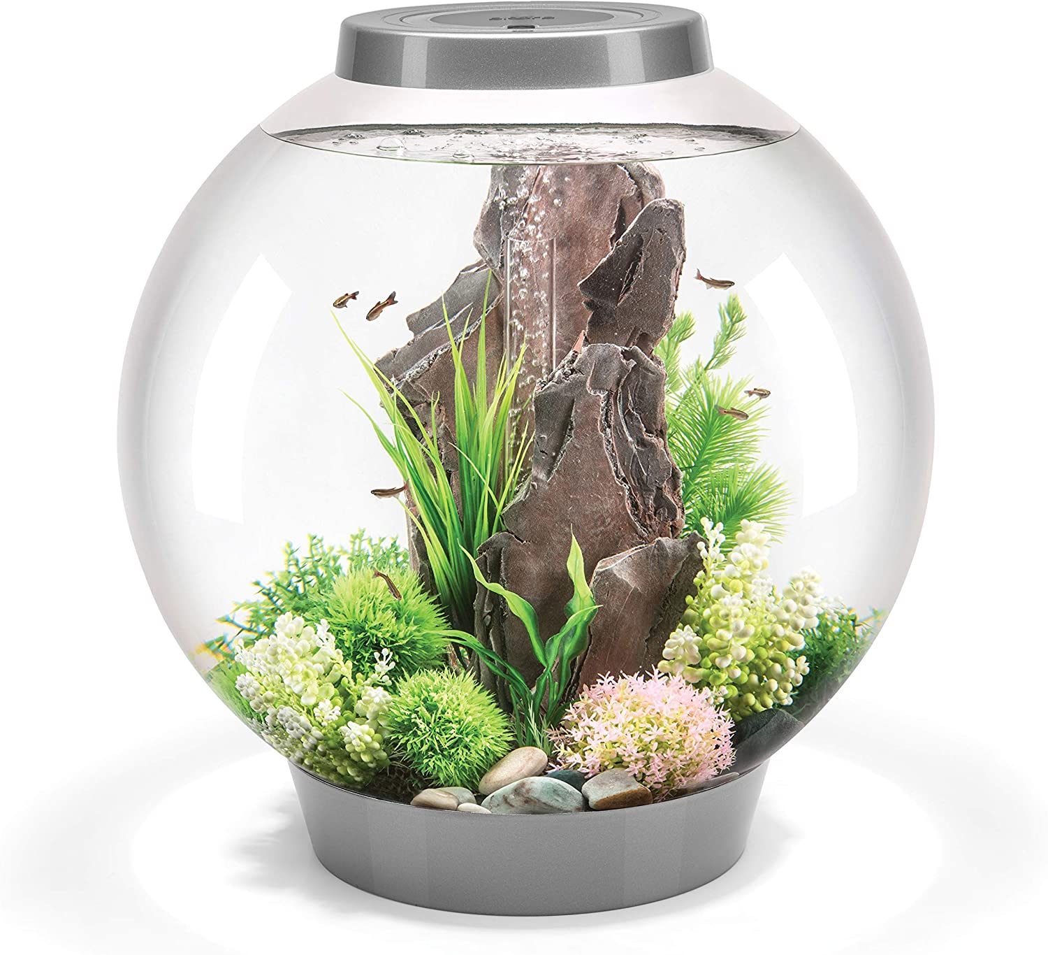 biorb fish tank