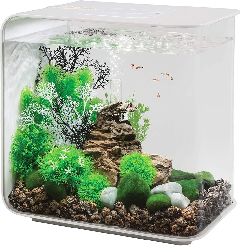 biorb fish tank