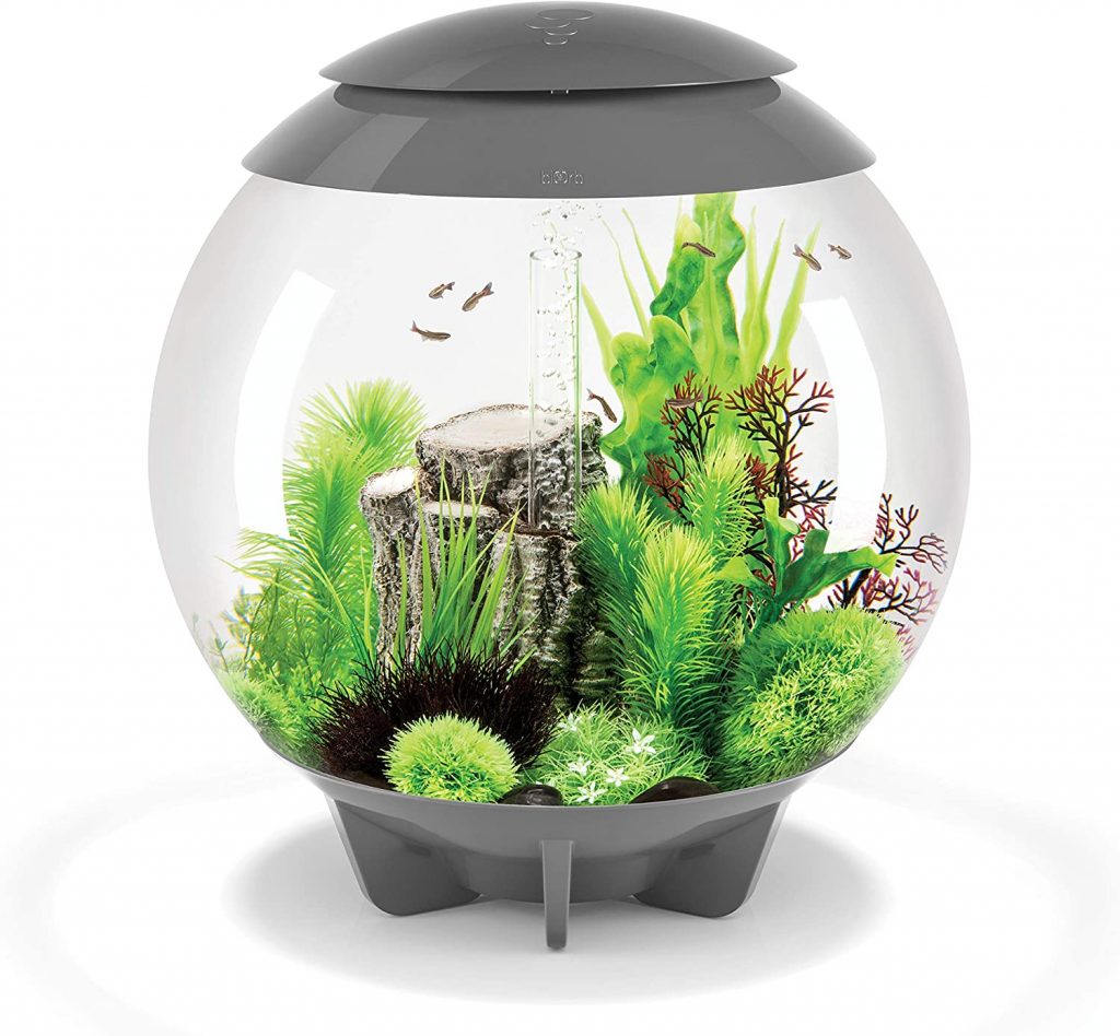 biorb fish tank