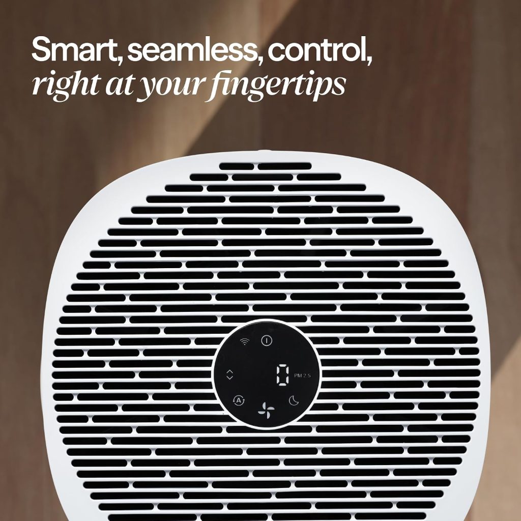 air purifier